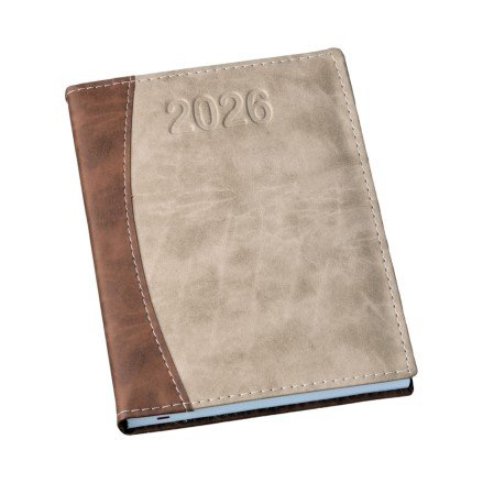 Agenda