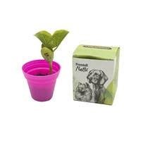 KIT ECOBOX COM SEMENTE MAGICA